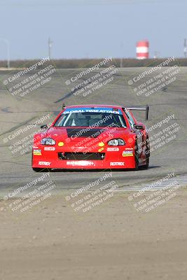 media/Nov-09-2024-GTA Finals Buttonwillow (Sat) [[c24c1461bf]]/Group 3/Session 3 (Outside Grapevine)/